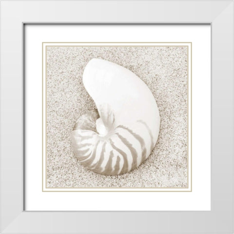 In the Sand VII White Modern Wood Framed Art Print with Double Matting by Christensen, Jim
