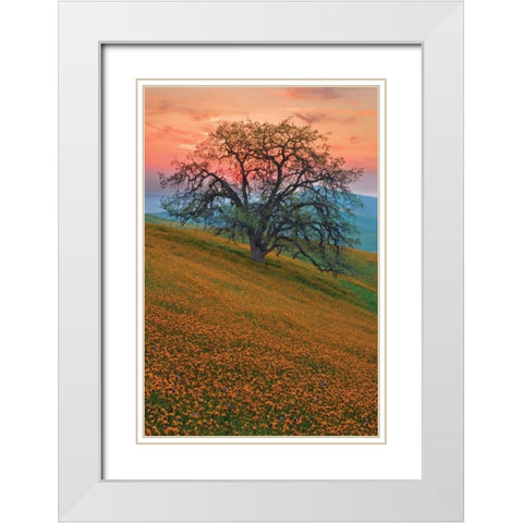 Rancheria White Modern Wood Framed Art Print with Double Matting by Geistweite, Mark