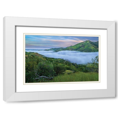Figueroa White Modern Wood Framed Art Print with Double Matting by Geistweite, Mark