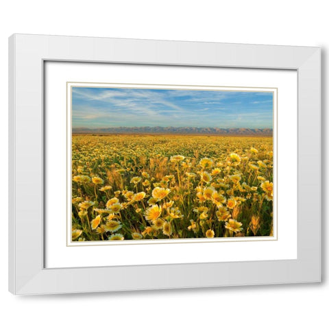 Carrizo I White Modern Wood Framed Art Print with Double Matting by Geistweite, Mark