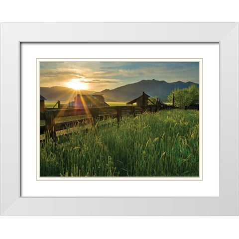 Walker Basin I White Modern Wood Framed Art Print with Double Matting by Geistweite, Mark