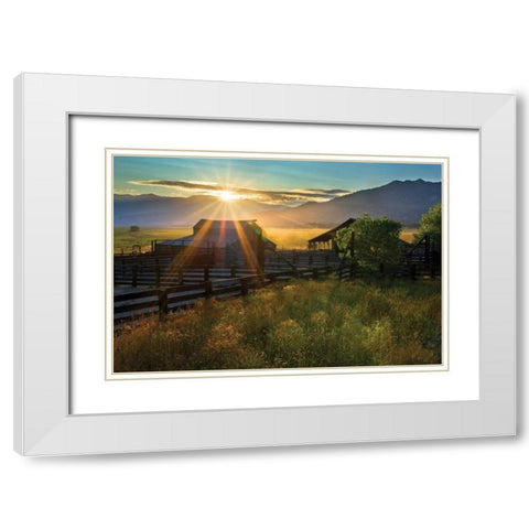 Walker Basin II White Modern Wood Framed Art Print with Double Matting by Geistweite, Mark