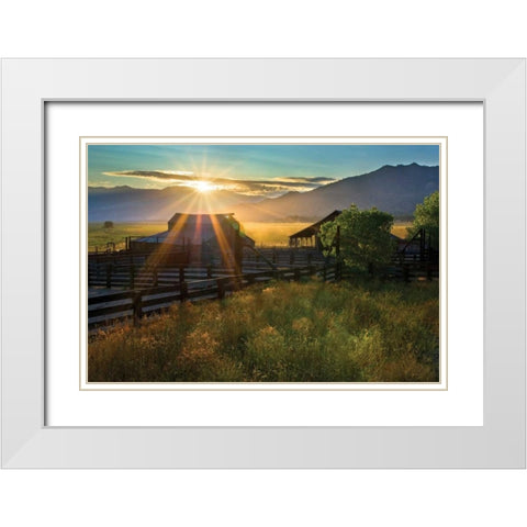 Walker Basin II White Modern Wood Framed Art Print with Double Matting by Geistweite, Mark