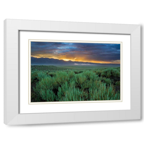 Benton Crossing II White Modern Wood Framed Art Print with Double Matting by Geistweite, Mark