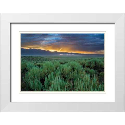 Benton Crossing II White Modern Wood Framed Art Print with Double Matting by Geistweite, Mark
