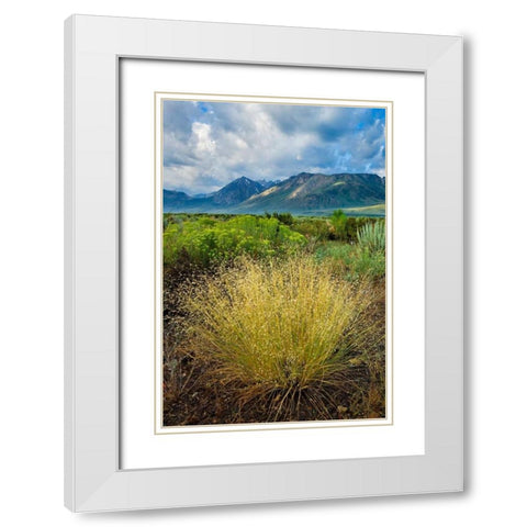 Eastern Sierra IV White Modern Wood Framed Art Print with Double Matting by Geistweite, Mark