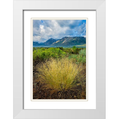 Eastern Sierra IV White Modern Wood Framed Art Print with Double Matting by Geistweite, Mark