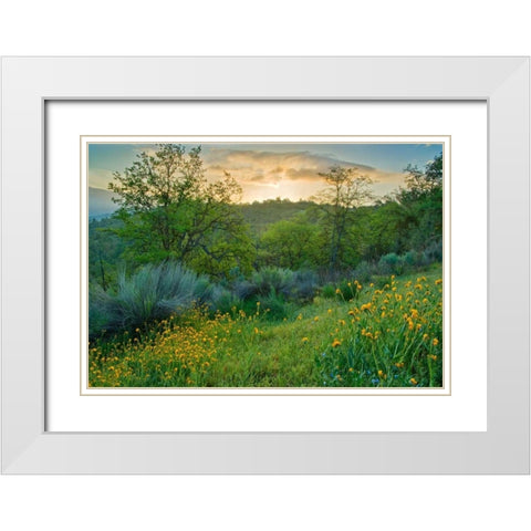 Caliente Spring I White Modern Wood Framed Art Print with Double Matting by Geistweite, Mark