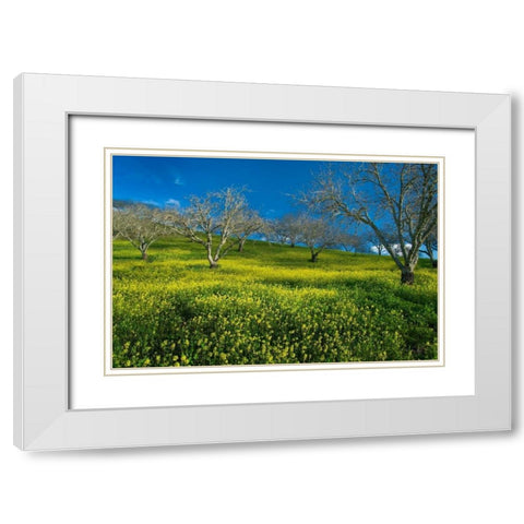 Mustard Factory I White Modern Wood Framed Art Print with Double Matting by Geistweite, Mark