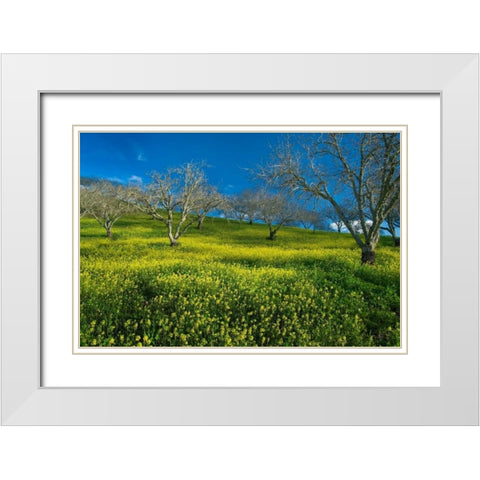 Mustard Factory I White Modern Wood Framed Art Print with Double Matting by Geistweite, Mark
