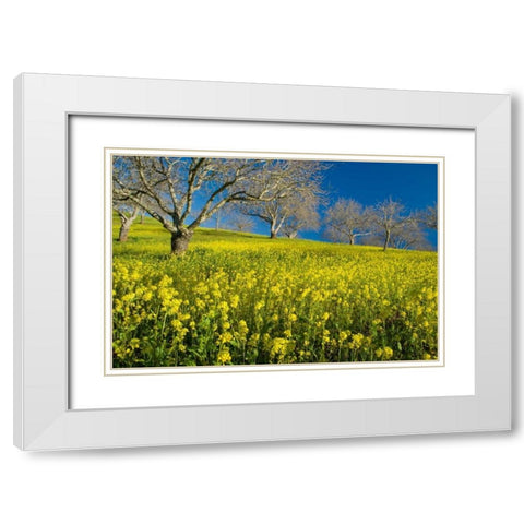 Mustard Factory II White Modern Wood Framed Art Print with Double Matting by Geistweite, Mark