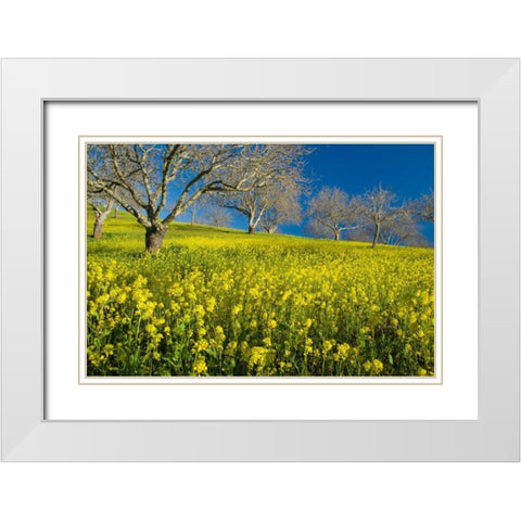 Mustard Factory II White Modern Wood Framed Art Print with Double Matting by Geistweite, Mark