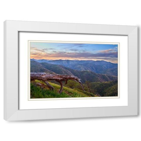 Pastel in Nature I White Modern Wood Framed Art Print with Double Matting by Geistweite, Mark