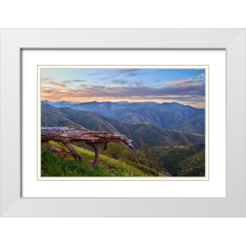 Pastel in Nature I White Modern Wood Framed Art Print with Double Matting by Geistweite, Mark