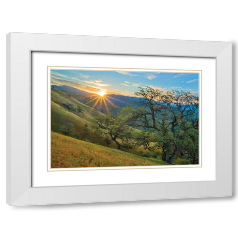 Spring Sunburst I White Modern Wood Framed Art Print with Double Matting by Geistweite, Mark
