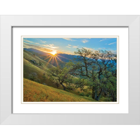 Spring Sunburst I White Modern Wood Framed Art Print with Double Matting by Geistweite, Mark