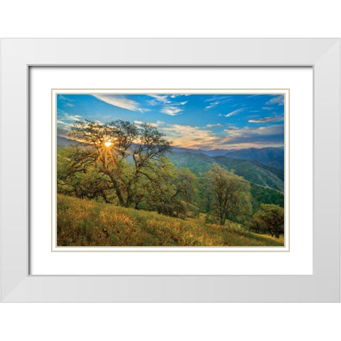 Spring Sunburst II White Modern Wood Framed Art Print with Double Matting by Geistweite, Mark