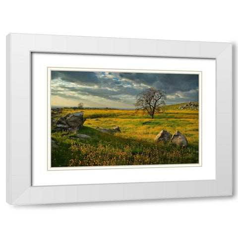 Summer Sun White Modern Wood Framed Art Print with Double Matting by Geistweite, Mark