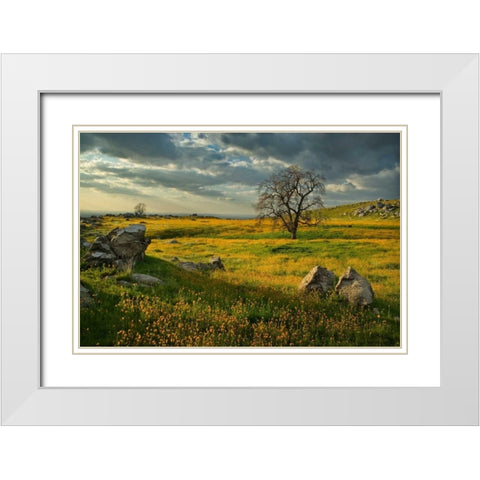 Summer Sun White Modern Wood Framed Art Print with Double Matting by Geistweite, Mark