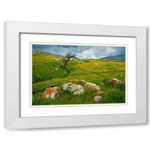 Trail Northward White Modern Wood Framed Art Print with Double Matting by Geistweite, Mark