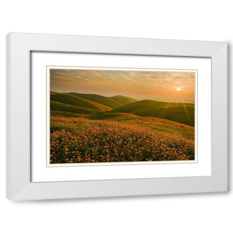 Spring Riot I White Modern Wood Framed Art Print with Double Matting by Geistweite, Mark