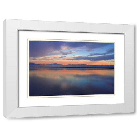 Watercolor II White Modern Wood Framed Art Print with Double Matting by Geistweite, Mark