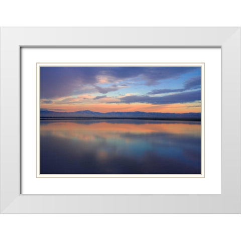 Watercolor II White Modern Wood Framed Art Print with Double Matting by Geistweite, Mark