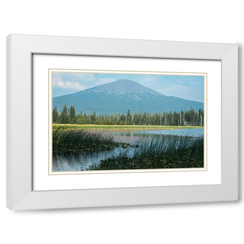 Bachelor in Summer White Modern Wood Framed Art Print with Double Matting by Hellmann, Stan