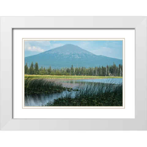 Bachelor in Summer White Modern Wood Framed Art Print with Double Matting by Hellmann, Stan