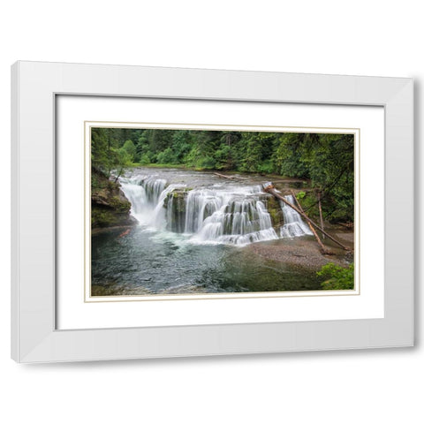 Lower Lewis River Falls White Modern Wood Framed Art Print with Double Matting by Hellmann, Stan