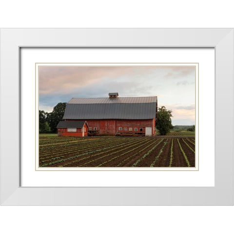Mt. Angel Barn White Modern Wood Framed Art Print with Double Matting by Hellmann, Stan