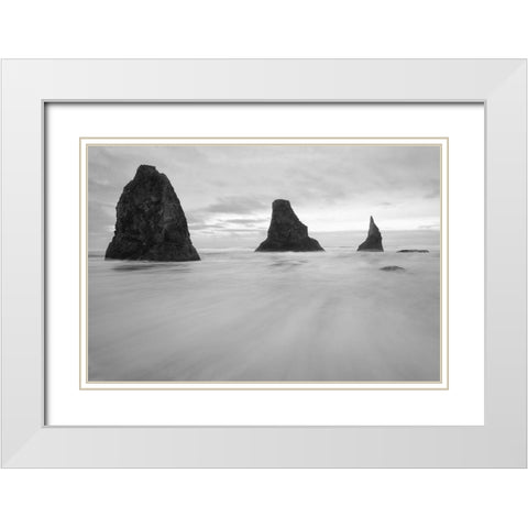 Bandon BW White Modern Wood Framed Art Print with Double Matting by Hellmann, Stan