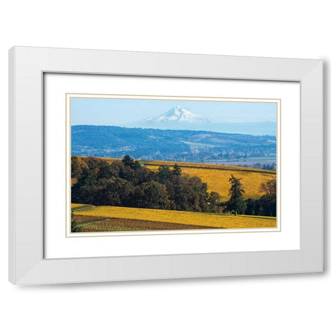 Dundee Hills I White Modern Wood Framed Art Print with Double Matting by Hellmann, Stan