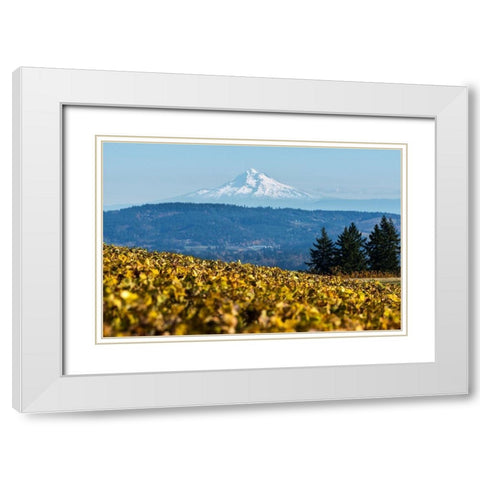 Dundee Hills II White Modern Wood Framed Art Print with Double Matting by Hellmann, Stan