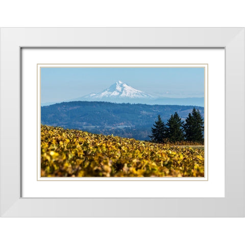 Dundee Hills II White Modern Wood Framed Art Print with Double Matting by Hellmann, Stan