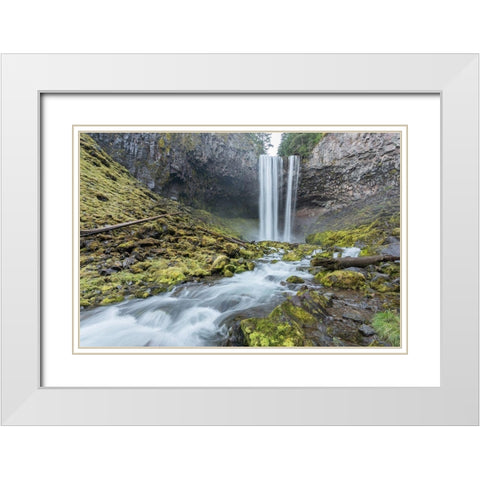 Tamanawas Falls I White Modern Wood Framed Art Print with Double Matting by Hellmann, Stan