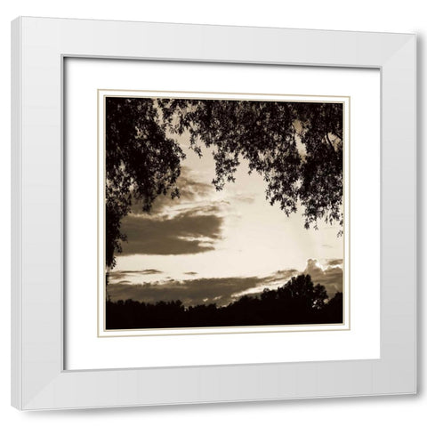 Sunset Trees Sepia Sq II White Modern Wood Framed Art Print with Double Matting by Hausenflock, Alan