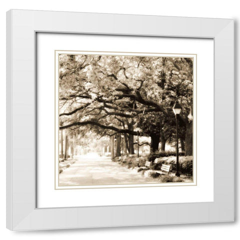 Savannah Sepia Sq I White Modern Wood Framed Art Print with Double Matting by Hausenflock, Alan