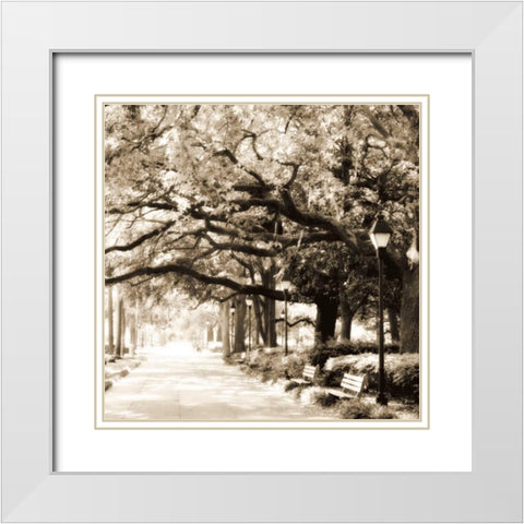 Savannah Sepia Sq I White Modern Wood Framed Art Print with Double Matting by Hausenflock, Alan