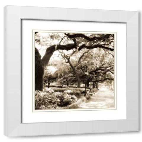 Savannah Sepia Sq II White Modern Wood Framed Art Print with Double Matting by Hausenflock, Alan