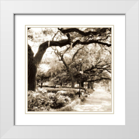Savannah Sepia Sq II White Modern Wood Framed Art Print with Double Matting by Hausenflock, Alan