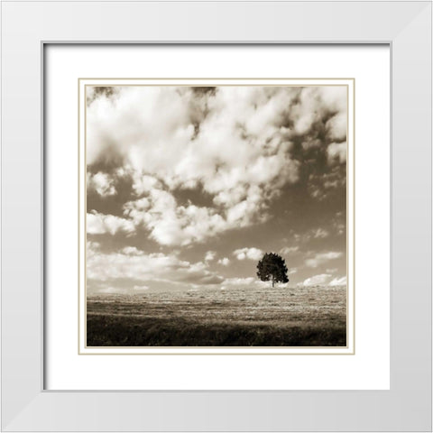 Cloudy Skies Sq I White Modern Wood Framed Art Print with Double Matting by Hausenflock, Alan
