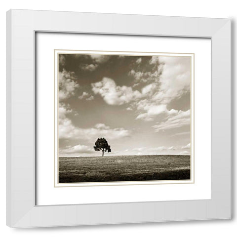 Cloudy Skies Sq III White Modern Wood Framed Art Print with Double Matting by Hausenflock, Alan