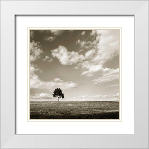 Cloudy Skies Sq III White Modern Wood Framed Art Print with Double Matting by Hausenflock, Alan