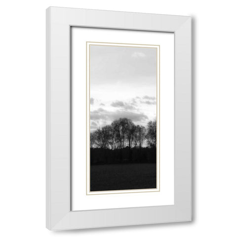Winter Sunset BW III White Modern Wood Framed Art Print with Double Matting by Hausenflock, Alan