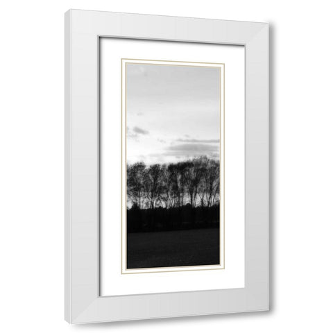 Winter Sunset BW IV White Modern Wood Framed Art Print with Double Matting by Hausenflock, Alan