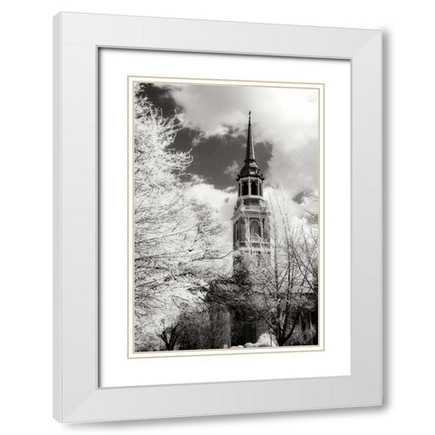 Renewal I White Modern Wood Framed Art Print with Double Matting by Hausenflock, Alan