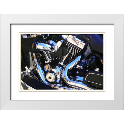 Black Beauty I White Modern Wood Framed Art Print with Double Matting by Hausenflock, Alan