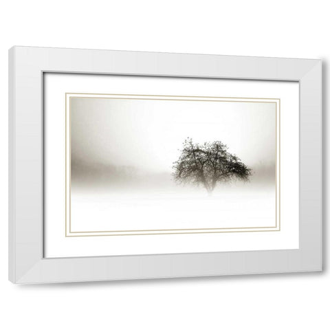 In the Mist I White Modern Wood Framed Art Print with Double Matting by Hausenflock, Alan