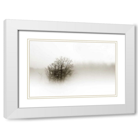 In the Mist II White Modern Wood Framed Art Print with Double Matting by Hausenflock, Alan